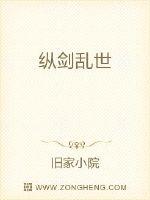 纵剑乱世